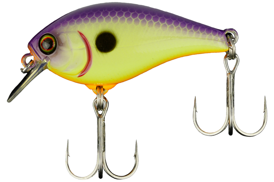 Purple Chartreuse