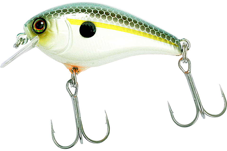ss shad