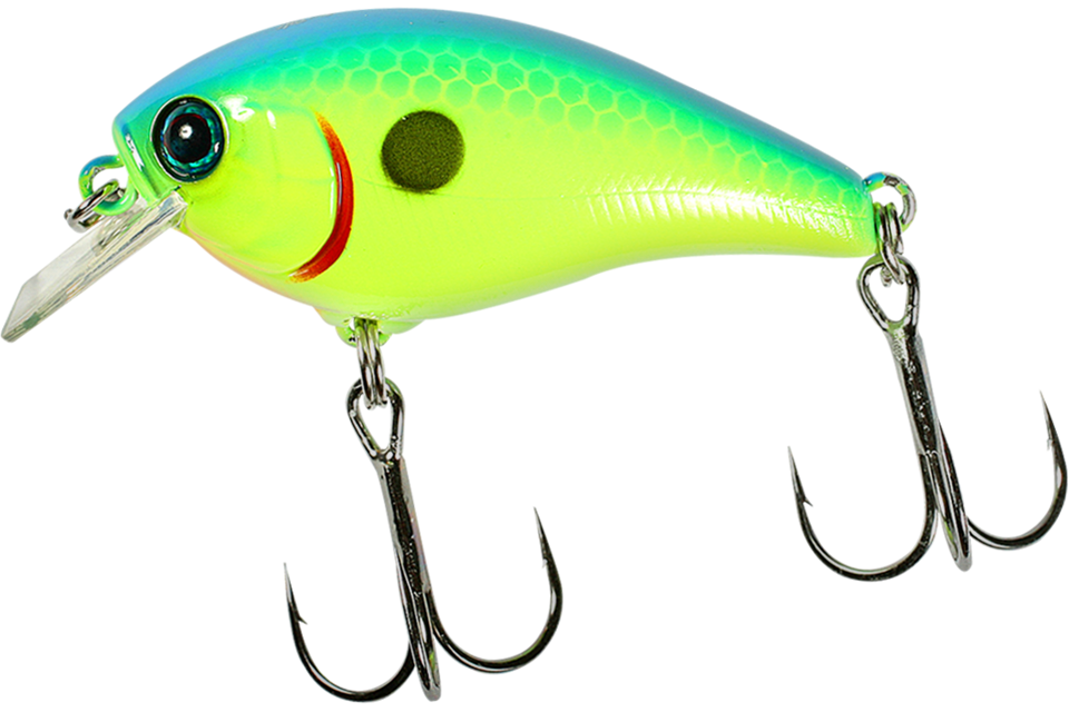 blue back chartreuse