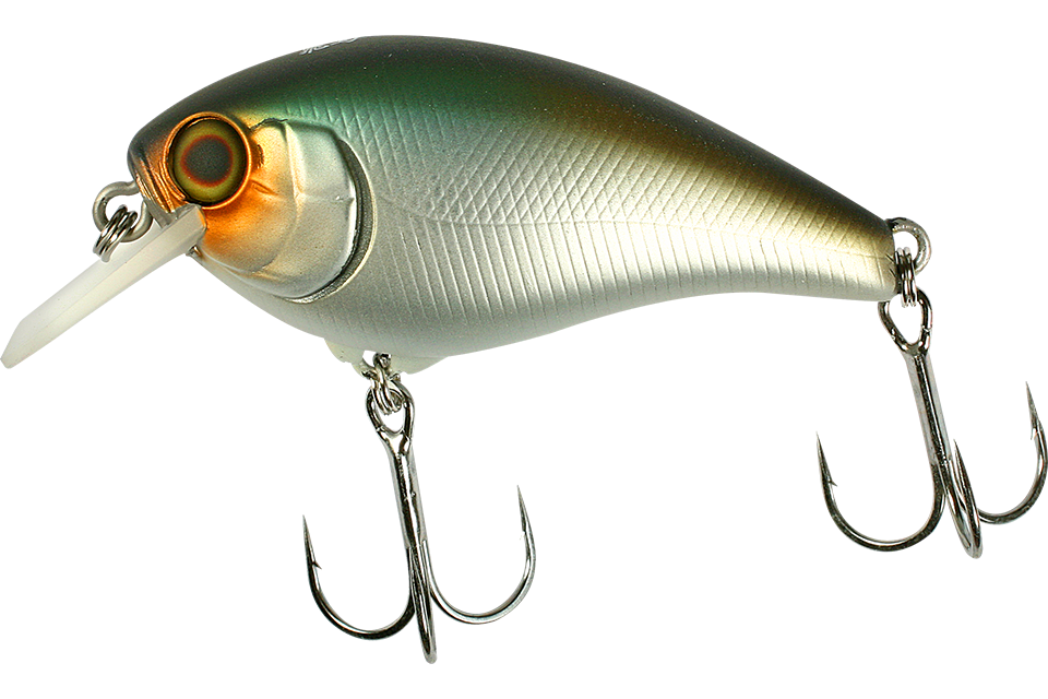 shibu silver