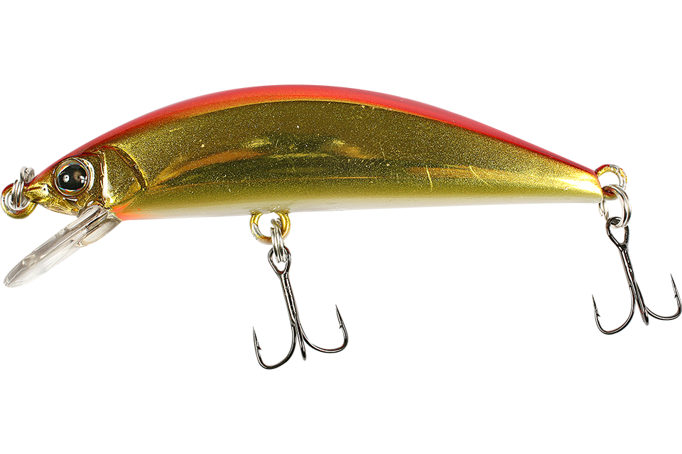 haku red & gold