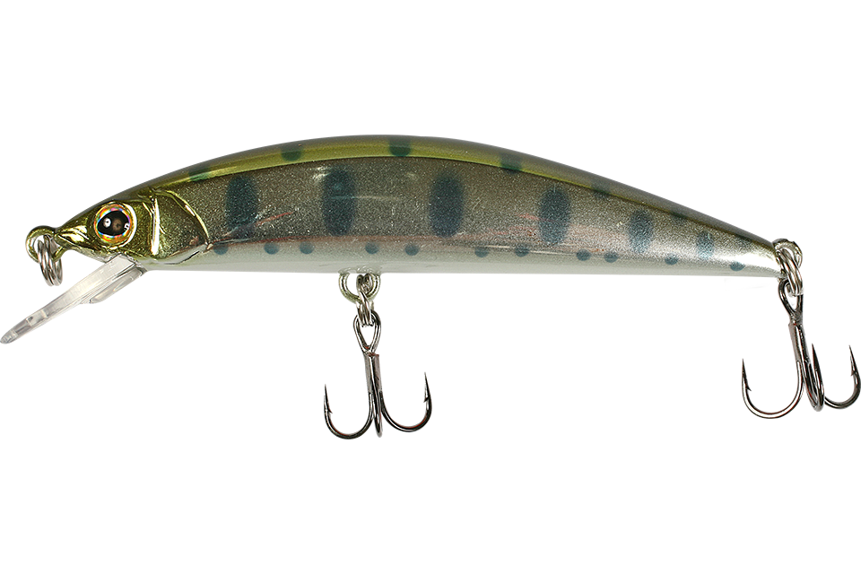 silver yamame