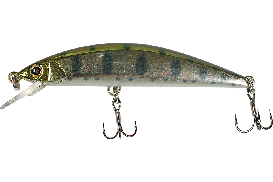 silver yamame