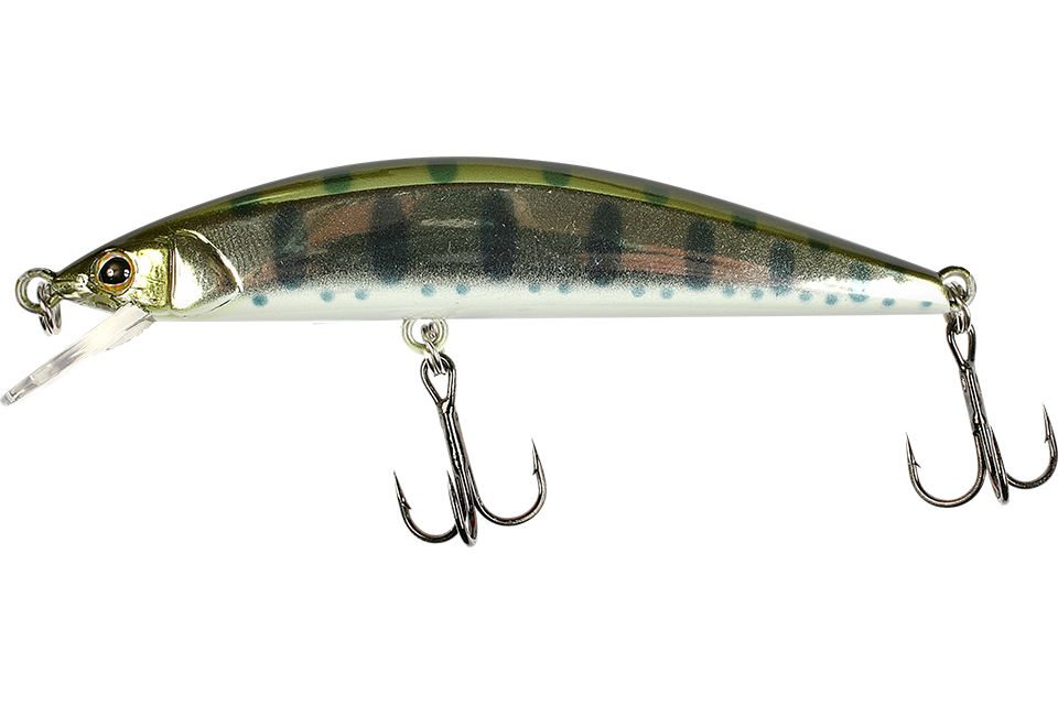 silver yamame