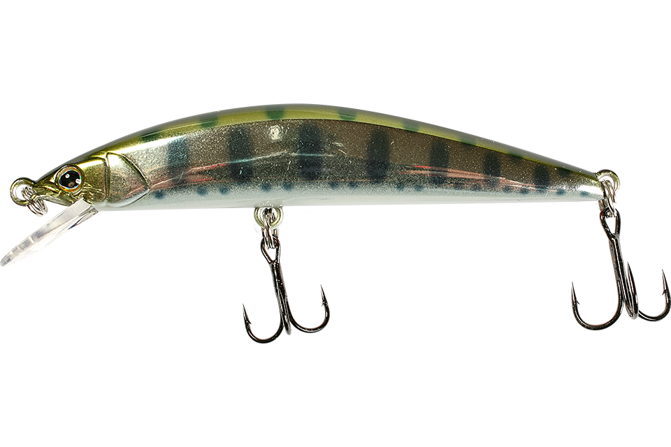 silver yamame