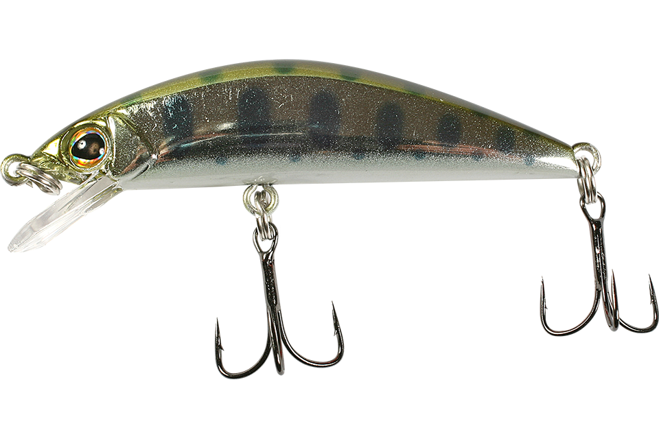 silver yamame
