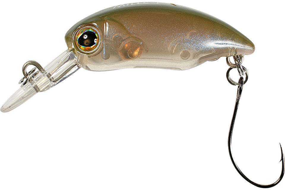 brown olive