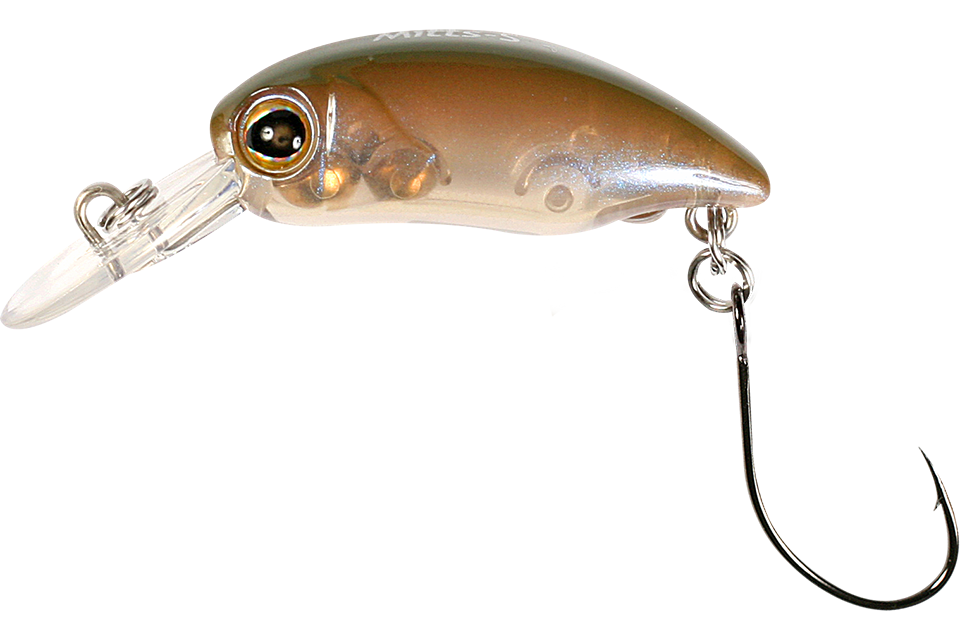 brown olive