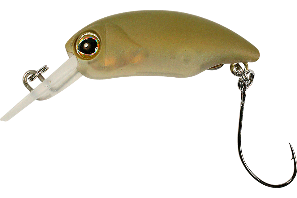 half olive