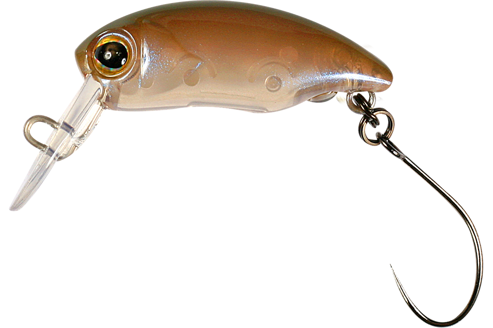 brown olive