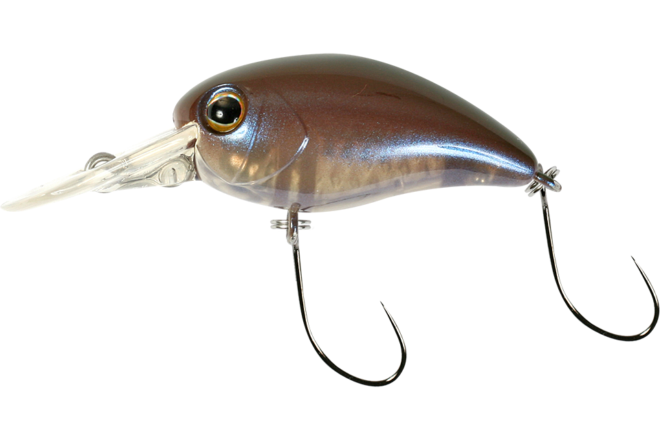 brown olive