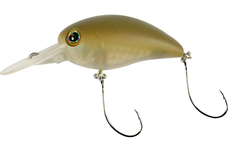 half olive