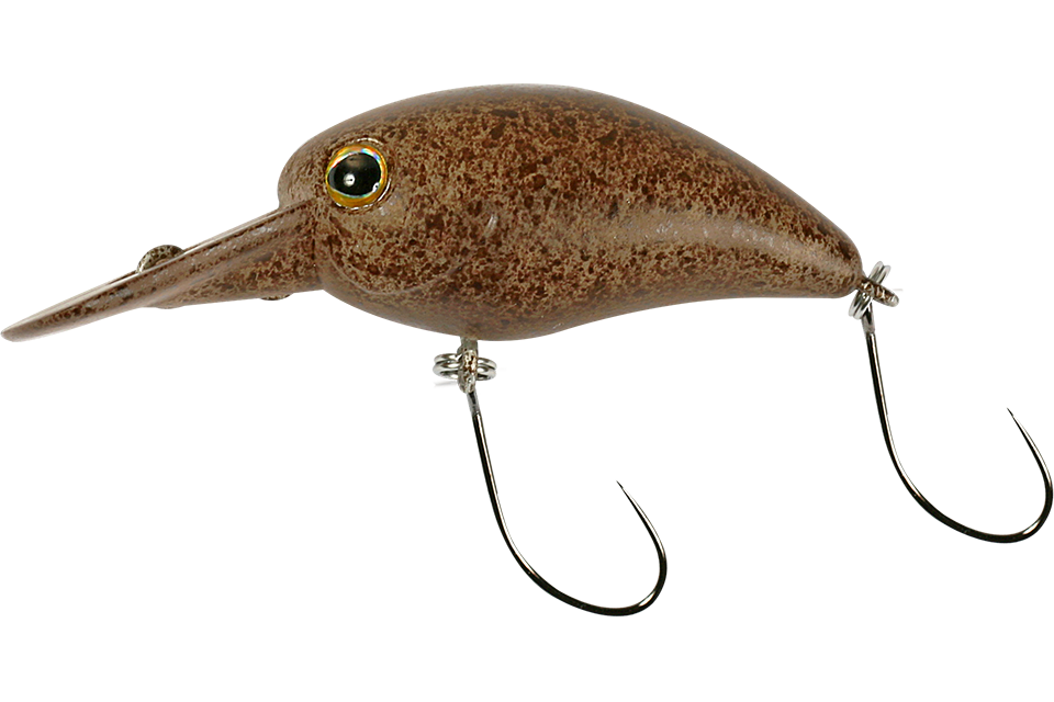 tackey brown
