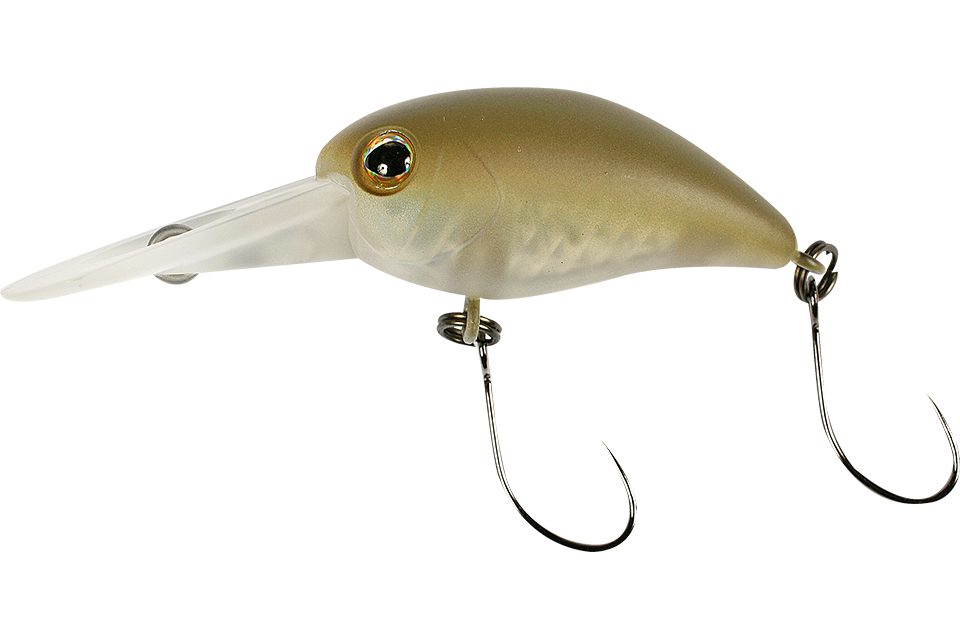 half olive