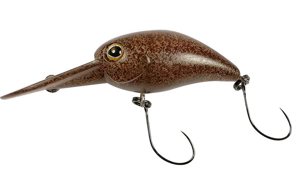 tackey brown