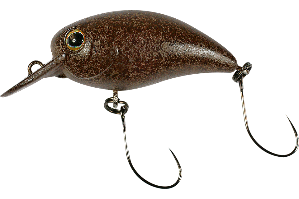tackey brown