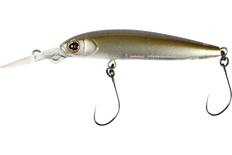 dried sardine