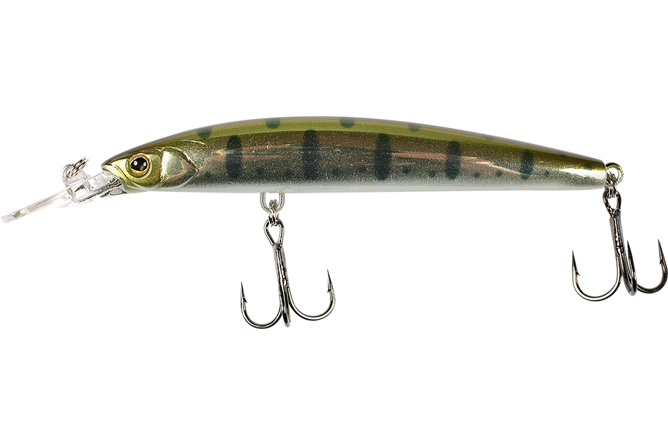 silver yamame