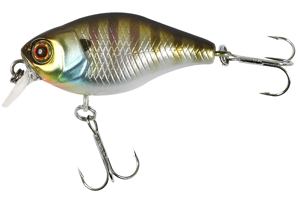 blue gill
