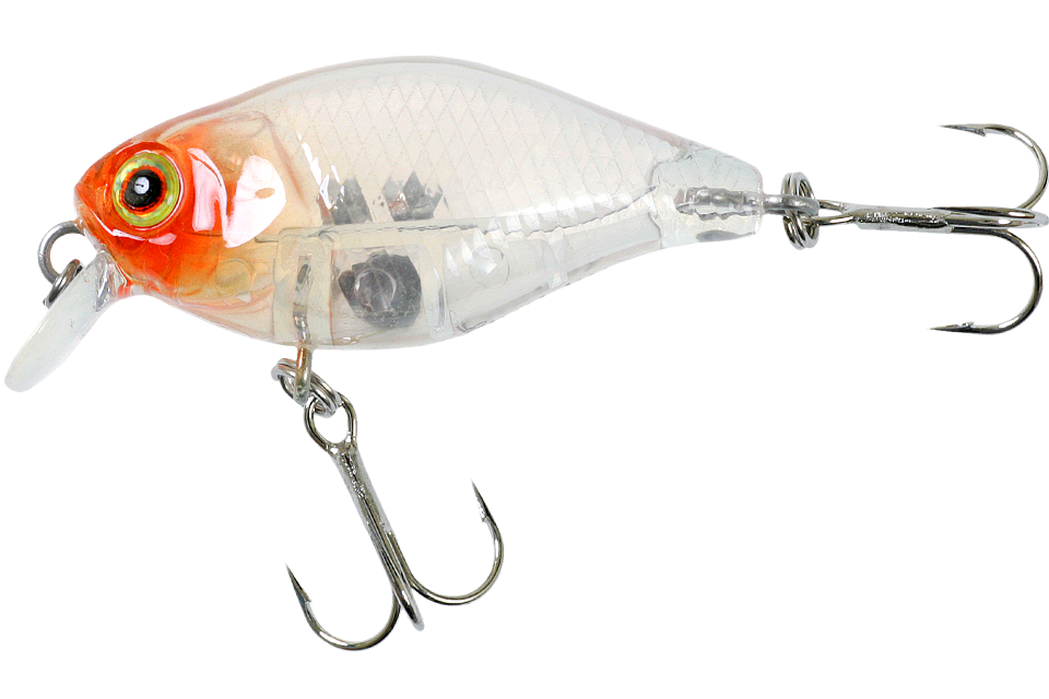 clear salmon roe head