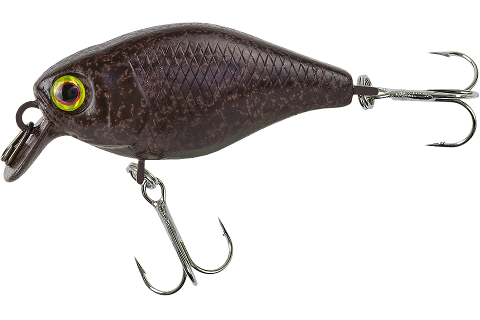 tackey brown