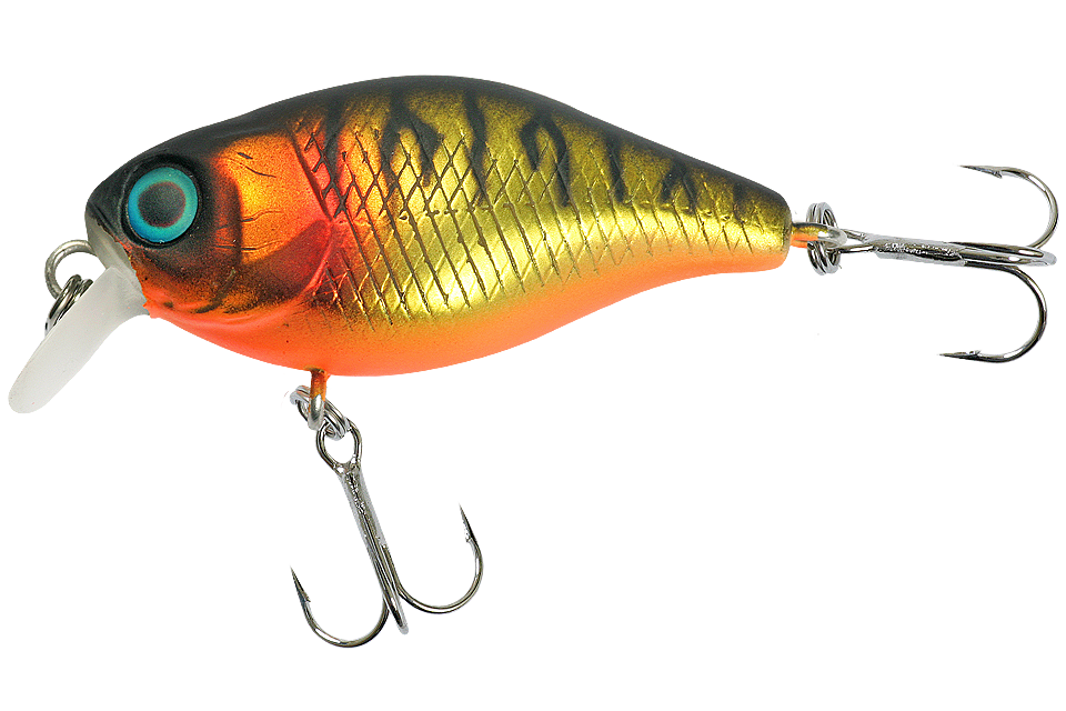 mat gold tiger