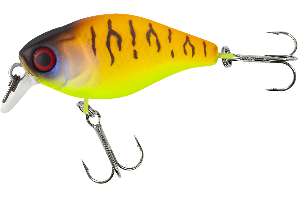 tropical mat tiger