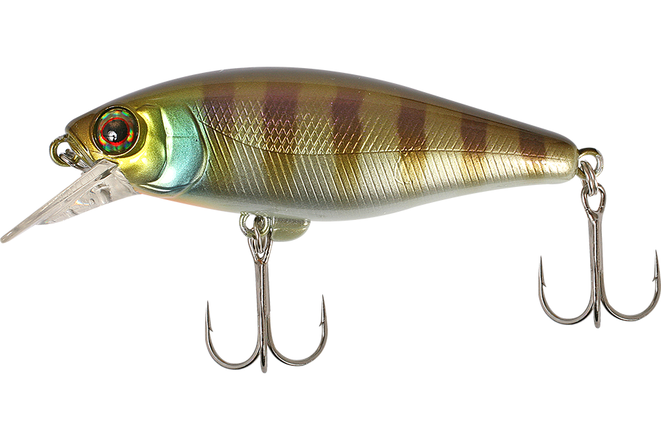 blue gill