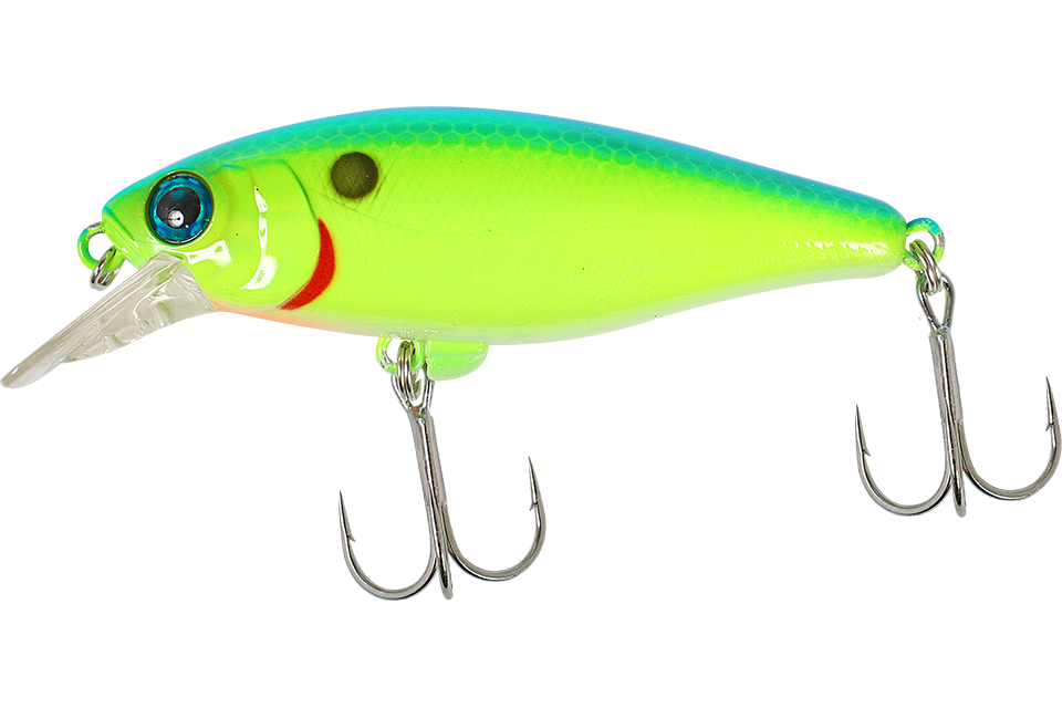 blue back chartreuse