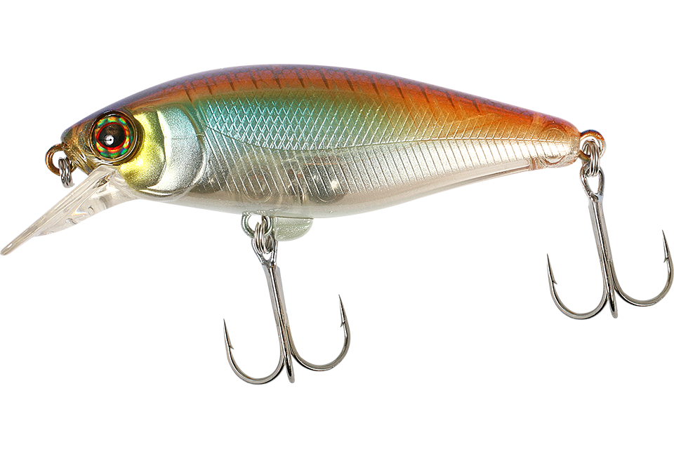 natural shad