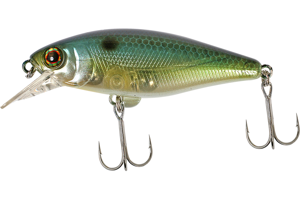 sk sexy shad