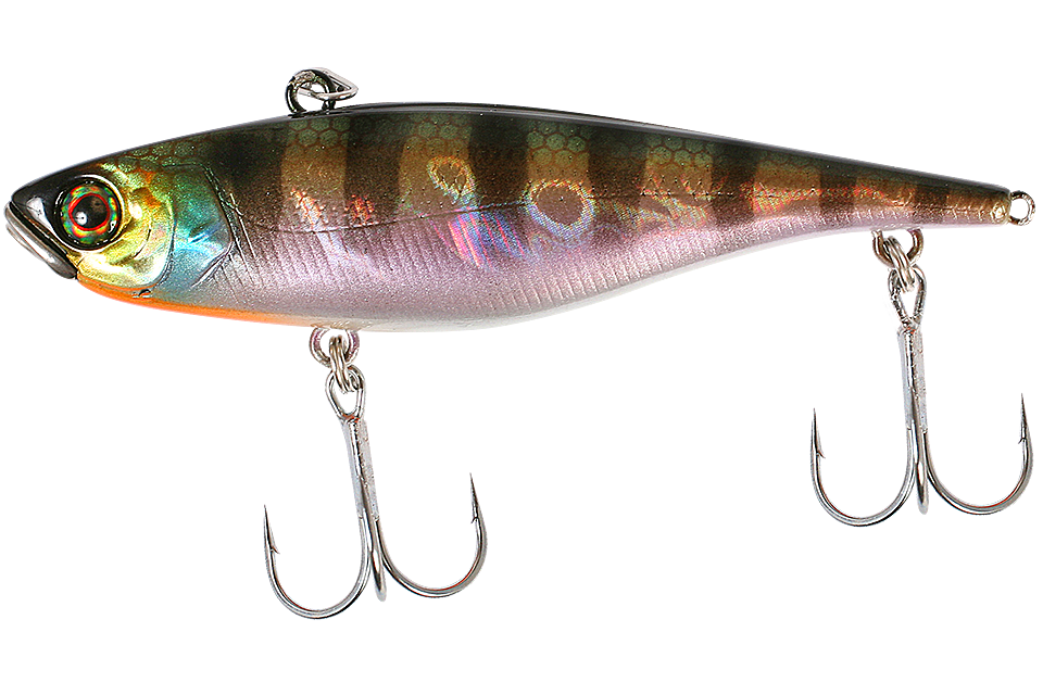 hl blue gill