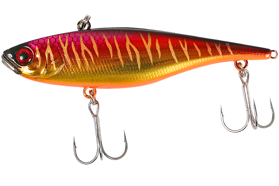 spawning tiger